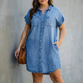 Cleo | Button-Down Shirt Dress