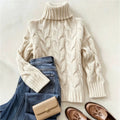 Nell Cable Knit Chunky Knit Turtleneck Sweater - front view